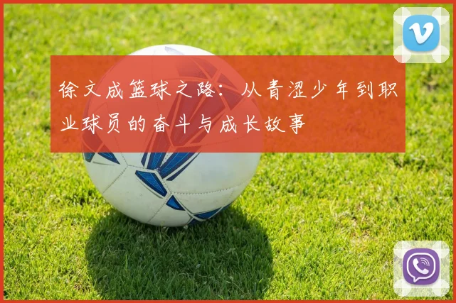 徐文成篮球之路：从青涩少年到职业球员的奋斗与成长故事