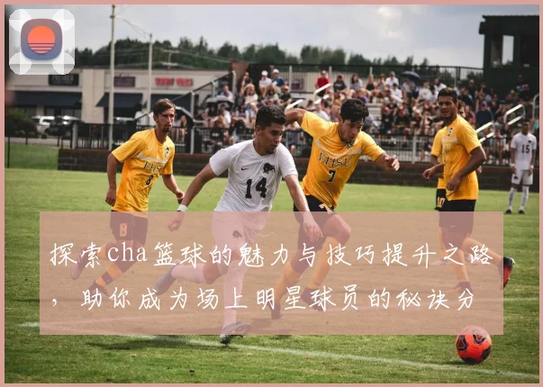 探索cha篮球的魅力与技巧提升之路，助你成为场上明星球员的秘诀分享